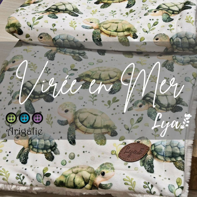 VIRÉE EN MER