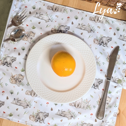 NAPPERON | Lunch écolo - prêt à partir